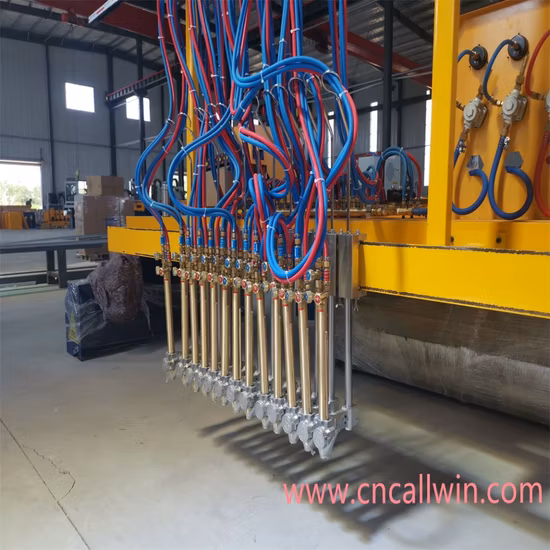 Heavy Duty 5 Axis Gantry CNC Plasma Cutter Máquina de corte por llama de oxicombustible
